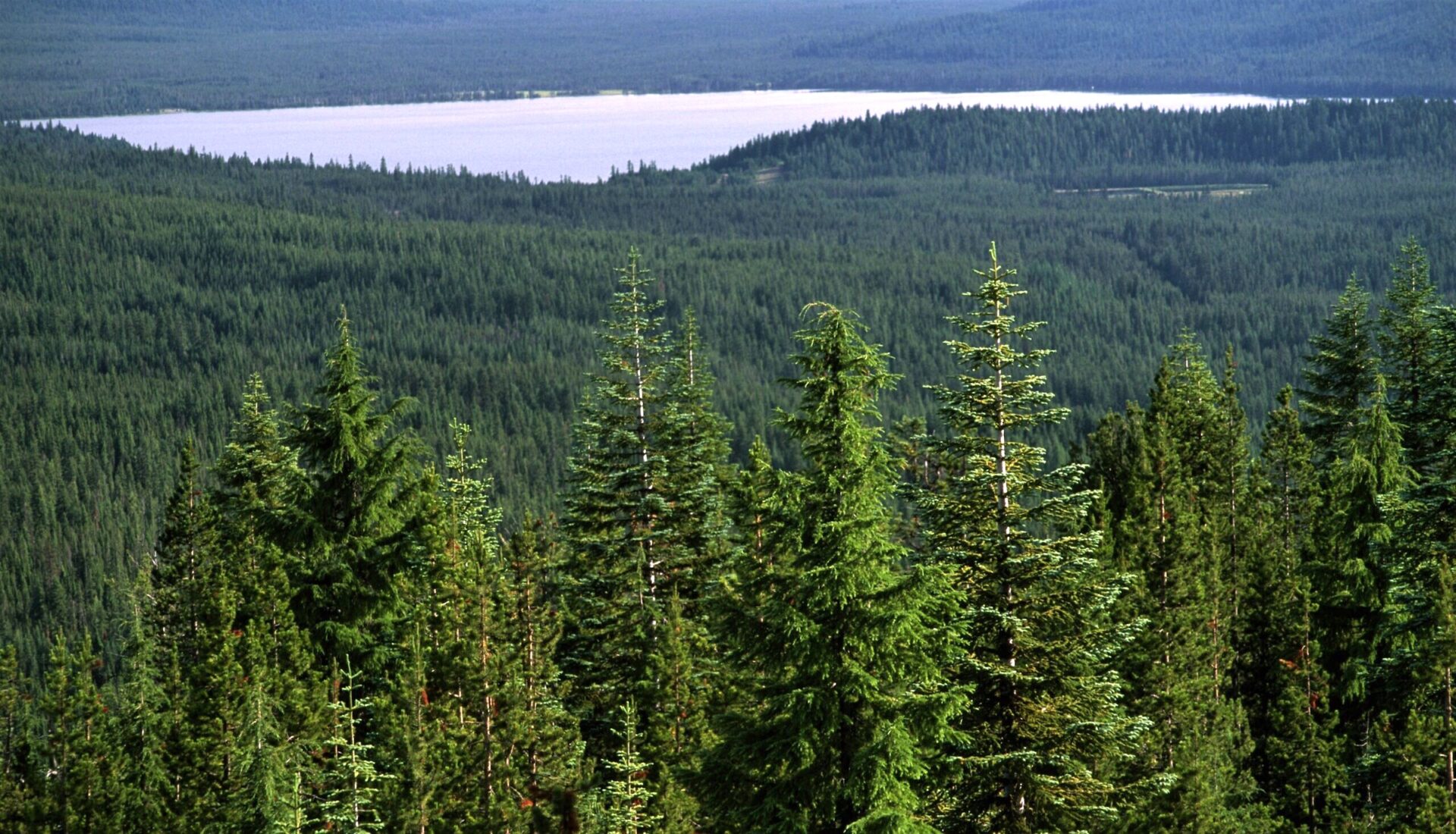 Swastika Mountain in Oregon to be renamed at year’s end