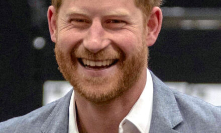 Prince Harry converses with man who compared Hamas to Jews who fought Nazis