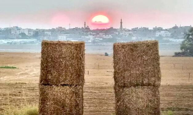 His photos tell a story of a kibbutz that is no more; Facing west is no longer an option