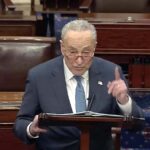 Schumer hits out at left-wing anti-Semitism in Senate speech
