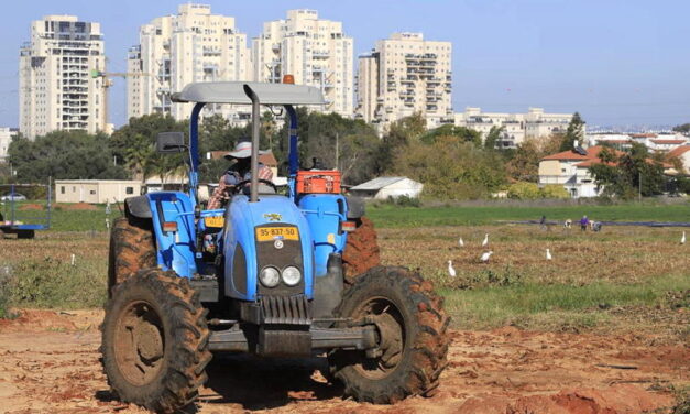 12,000 foreign workers have returned to Israel