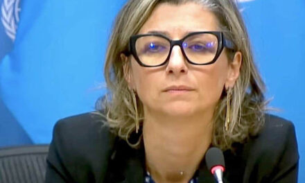 Not an international crime to kill soldiers, UN’s Francesca Albanese says of Oct. 7