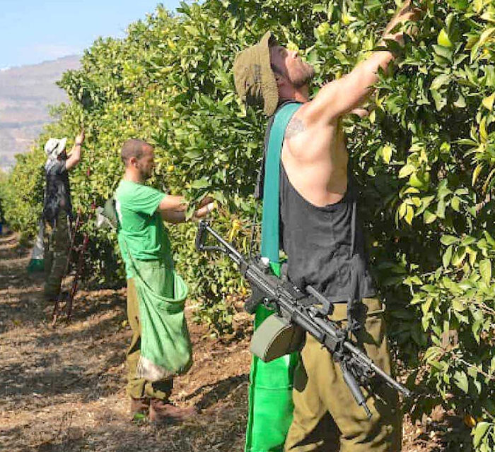 Could Israel face famine? The country needs to be much more food self-sufficient, expert warns