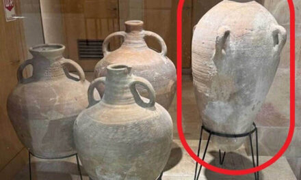 Bronze Age vessel is back on display at the Hecht Museum in Haifa.