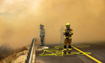 Israel’s firefighters may fall short amid wildfire threats, top officials warn