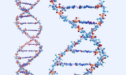 Why I deleted my data from 23andMe