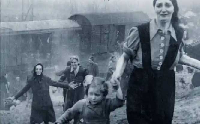 SJCF to host ‘A Train Near Magdeburg’ author at Temple Sinai