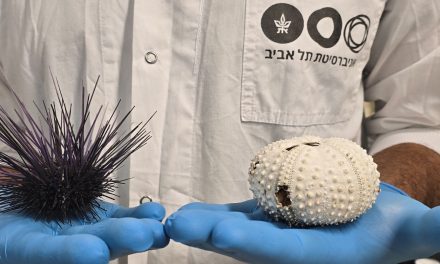 Evidence of a global wave of sea urchin mass mortality