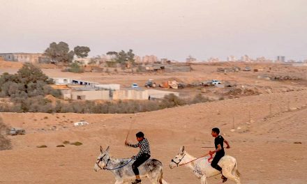 Polygamy in the Negev is a security threat Israel can no longer ignore