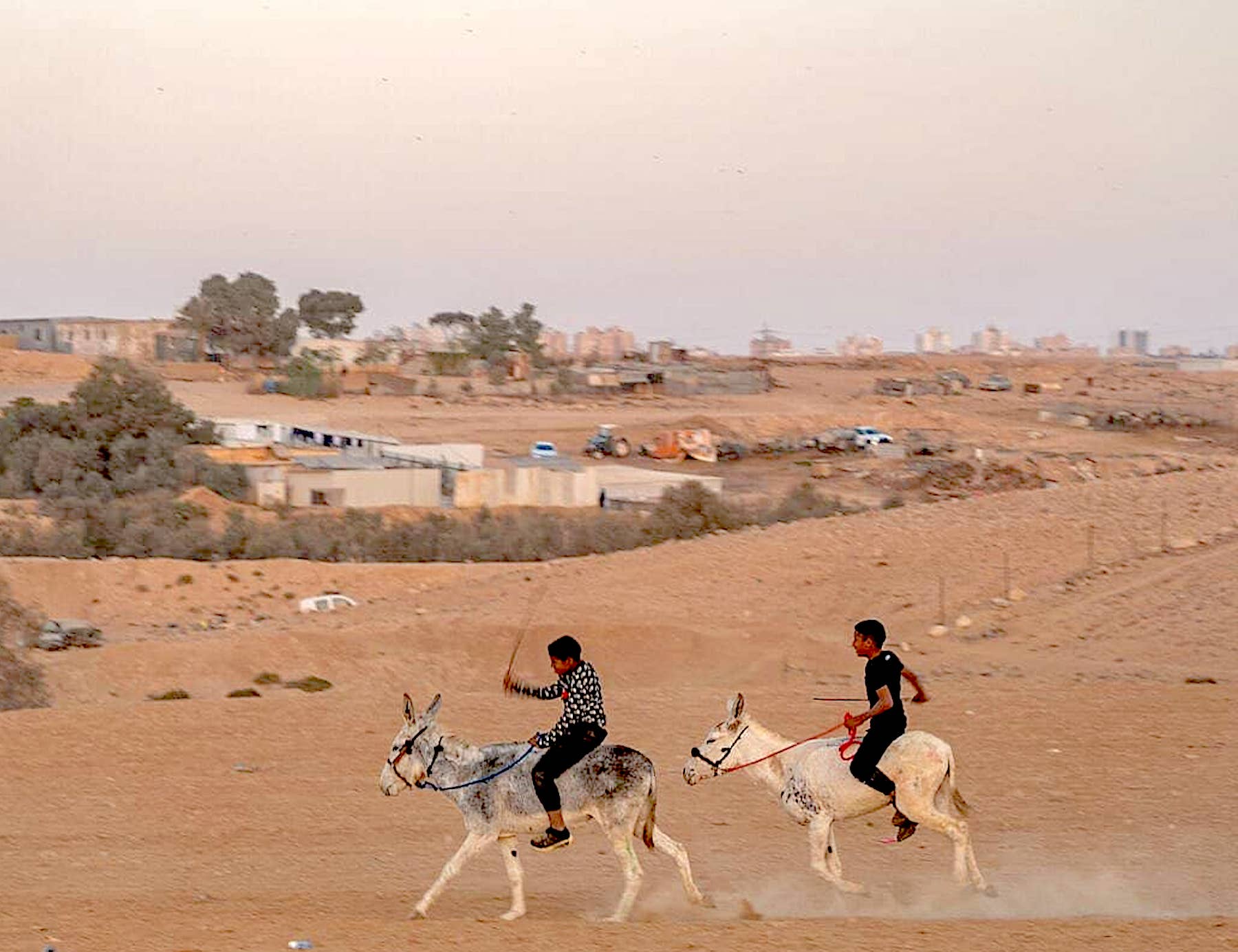 Polygamy in the Negev is a security threat Israel can no longer ignore