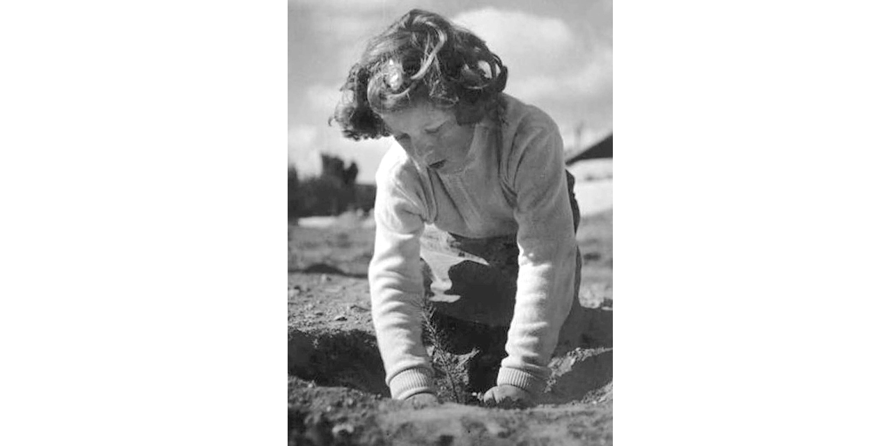 Tu B’Shevat: ‘New Year for Trees’ is Feb. 2