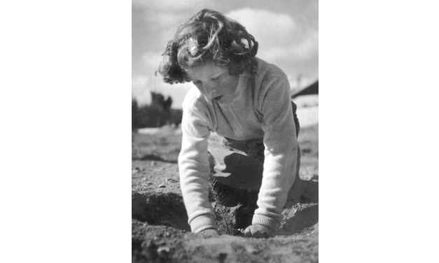 Tu B’Shevat: ‘New Year for Trees’ is Feb. 2