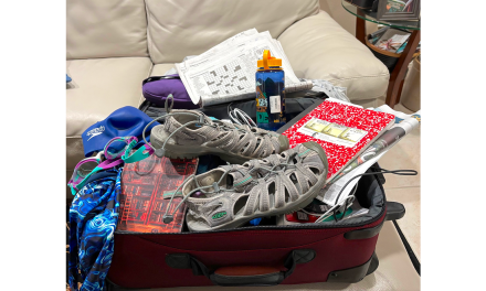 Should I stay or should I go? Too many packing decisions!